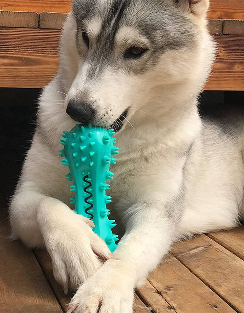 Load image into Gallery viewer, Pet Dog Cleaning Chew Toys for Aggressive Dogs Rubber Molar Stick Dog Oral Teeth
