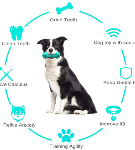 Pet Dog Cleaning Chew Toys for Aggressive Dogs Rubber Molar Stick Dog Oral Teeth